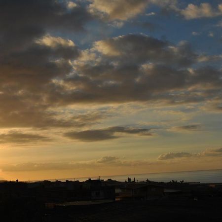 Discover The North Of The Island Of Tenerife La Laguna  Esterno foto